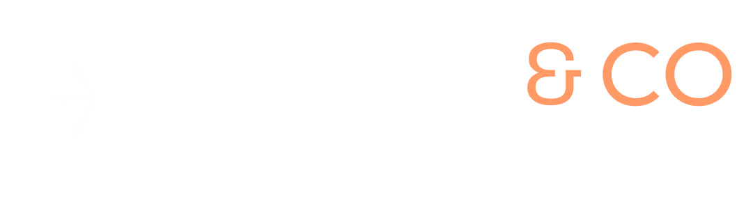Snow and Co logo